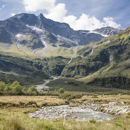 Carpe Solem By Alps *
