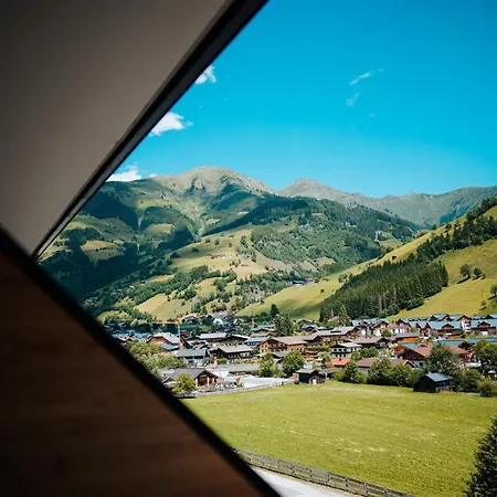 Carpe Solem By Alps