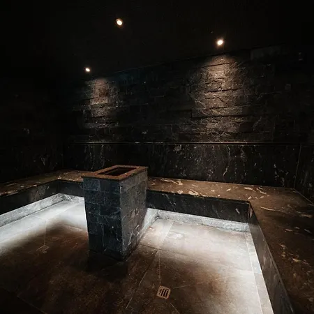 Apartman Carpe Solem By Alps Rauris